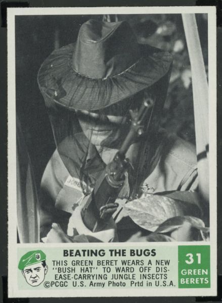 66PGB 31 Beating The Bugs.jpg